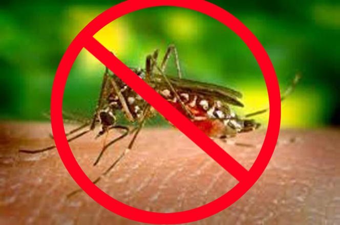 Premier World | कोविड-19 के बीच बढ़ी डेंगू और चिकनगुनिया की संभावना, रहें...